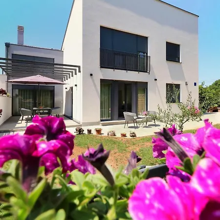 Papillon I Dolce Vita Tar-Vabriga Exterior photo